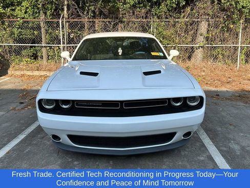Used 2019 Dodge Challenger SXT RWD image 2