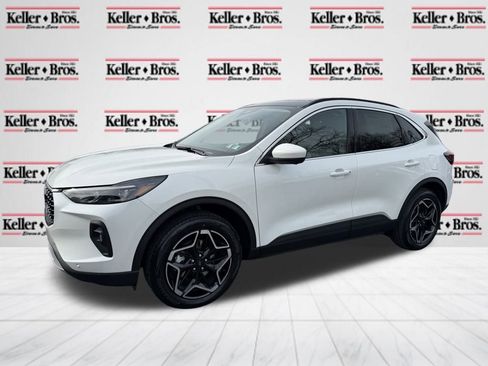 New 2026 Ford Escape Platinum w/ Premium Technology Package image 3