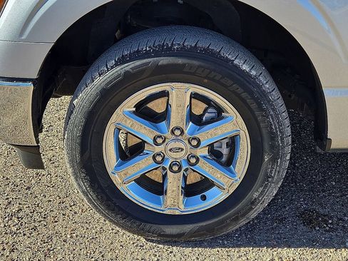 Used 2025 Ford F150 XLT w/ Equipment Group 301A Standard image 11