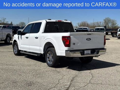 Used 2024 Ford F150 XLT w/ Equipment Group 302A MID RWD image 3