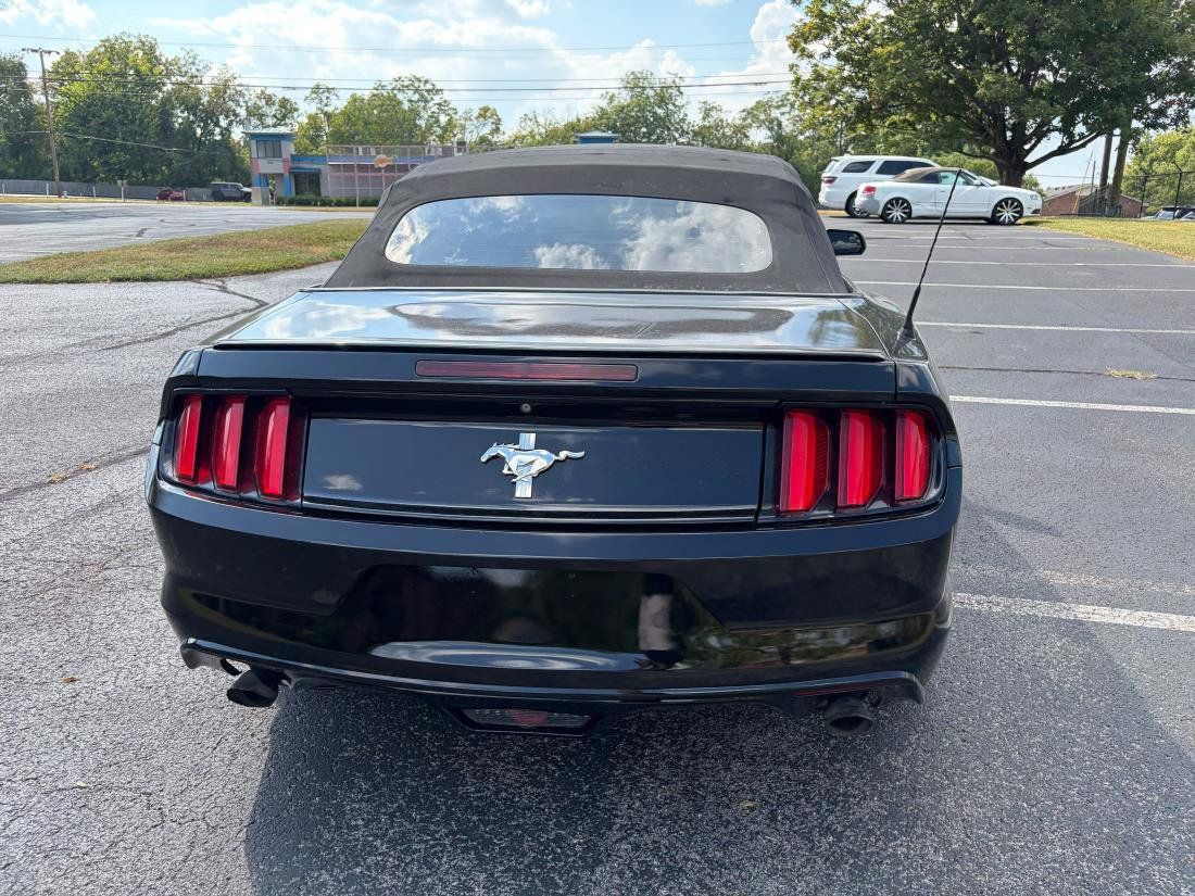 Used 2015 Ford Mustang Convertible w/ Equipment Group 051A RWD image 7