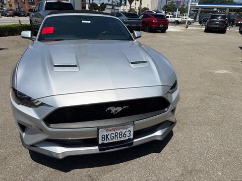 Used 2019 Ford Mustang Premium RWD image 2