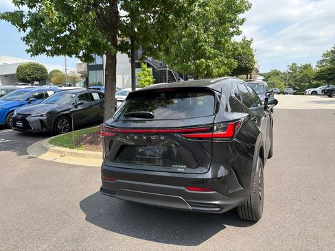 Certified 2025 Lexus NX 250 AWD w/ Accessory Package (2T) image 16