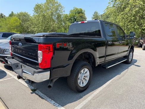 Used 2020 Ford F250 XL w/ STX Appearance Package AWD/4WD image 4