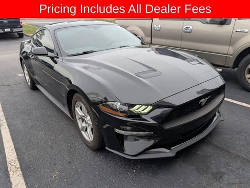 Used 2019 Ford Mustang Coupe RWD image 6
