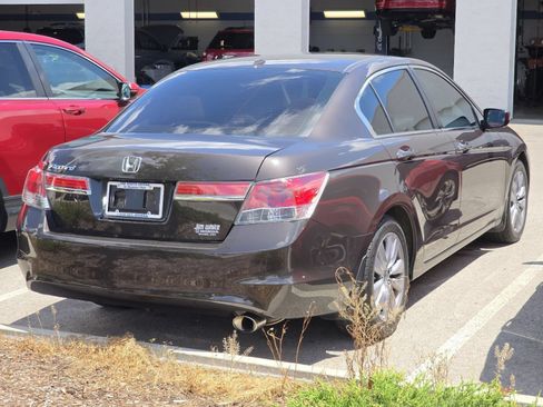 Used 2011 Honda Accord EX-L image 5