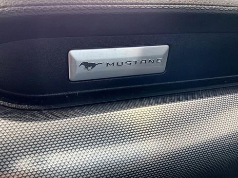 Used 2019 Ford Mustang Coupe w/ Equipment Group 101A image 9