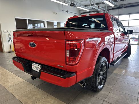 Used 2023 Ford F150 XLT w/ Equipment Group 302A High image 16
