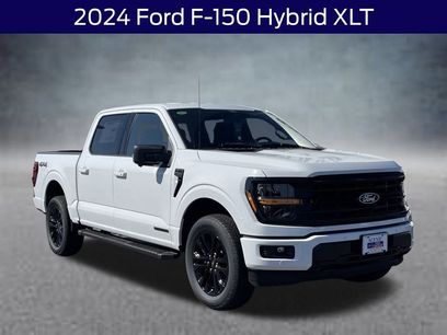 Used 2024 Ford F150 XLT w/ Equipment Group 302A MID
