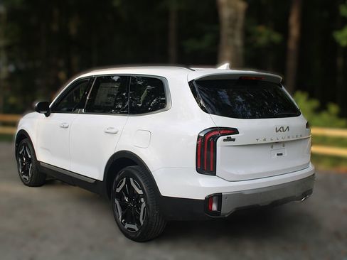 New 2025 Kia Telluride EX image 7