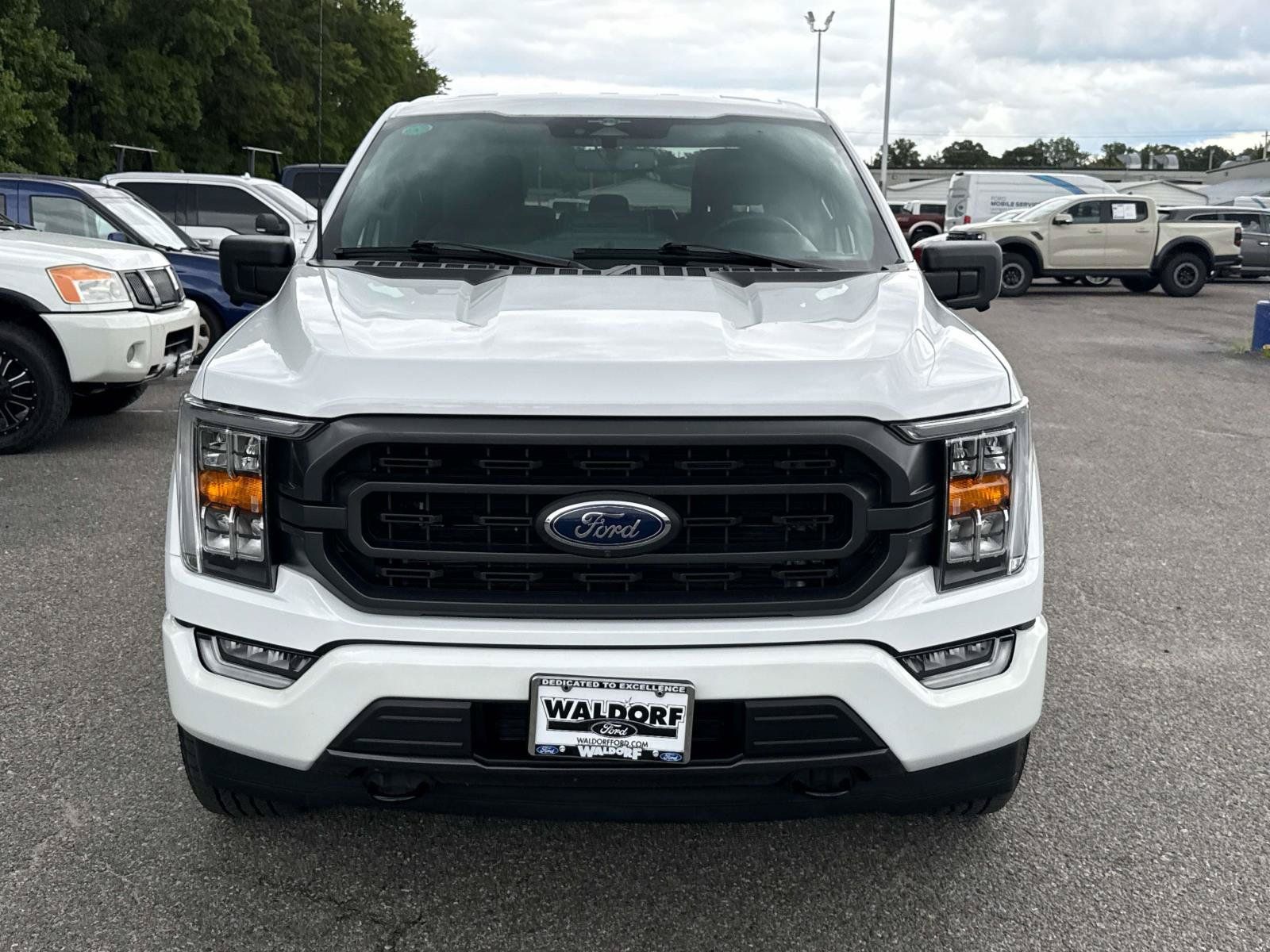 Used 2023 Ford F150 XLT w/ Equipment Group 302A High AWD/4WD image 6