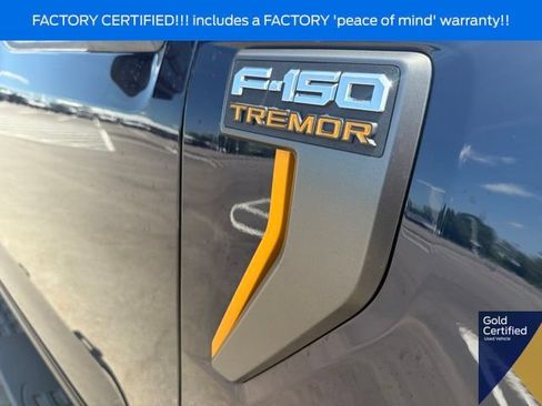 Used 2025 Ford F150 Tremor w/ Tow/Haul Package AWD/4WD image 8