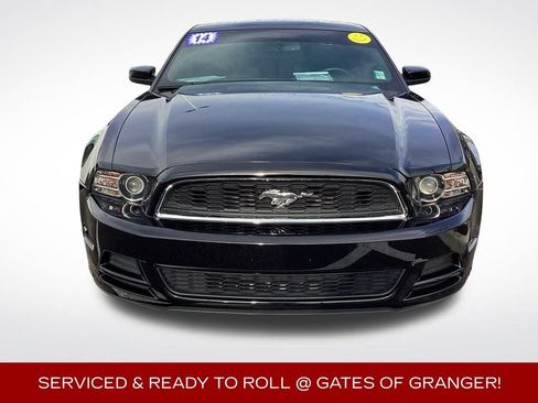 Used 2014 Ford Mustang Premium w/ Equipment Group 201A image 3