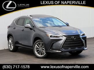 New 2026 Lexus NX 350 AWD w/ Premium Package video 1