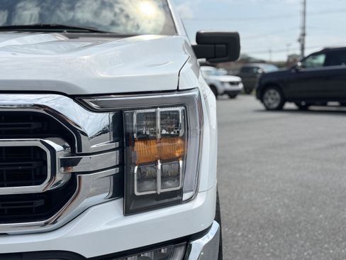 Used 2023 Ford F150 XLT w/ Equipment Group 302A High AWD/4WD image 3