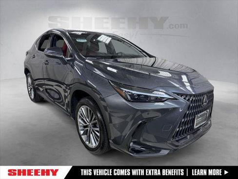 Certified 2025 Lexus NX 350h AWD w/ Cold Area Package image 1