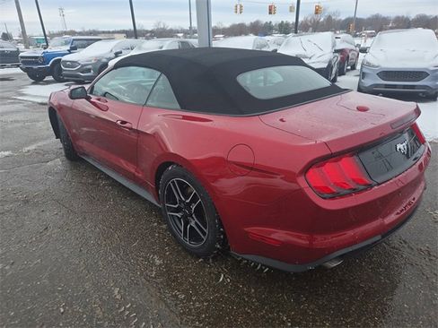 Certified 2023 Ford Mustang EcoBoost w/ Equipment Group 101A image 21