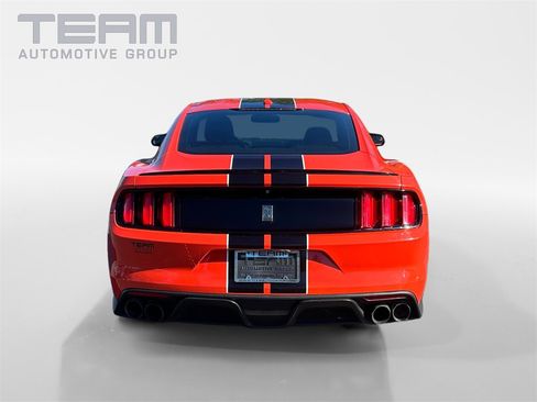 Used 2016 Ford Mustang Shelby GT350 w/ Technology Package image 6