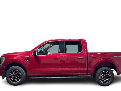 Used 2021 Ford F150 XLT w/ Equipment Group 301A Mid