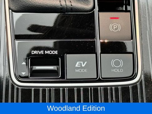 Used 2026 Toyota Sienna XLE Woodland Edition AWD/4WD image 32