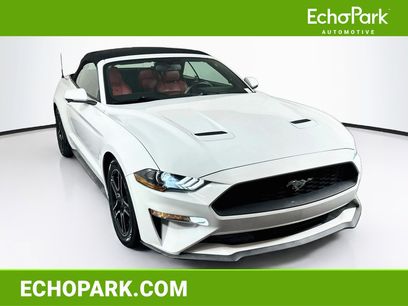 Used 2018 Ford Mustang Premium w/ Equipment Group 201A