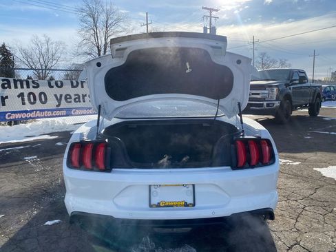 Used 2019 Ford Mustang GT Premium w/ Equipment Group 401A image 4