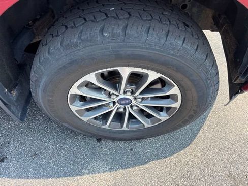 Used 2019 Ford F150 XLT w/ Equipment Group 302A Luxury AWD/4WD image 14
