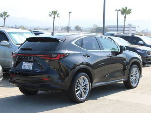Certified 2025 Lexus NX 350h AWD w/ Cold Area Package image 21