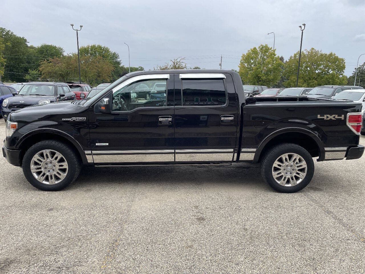 Used 2013 Ford F150 Platinum AWD/4WD image 5