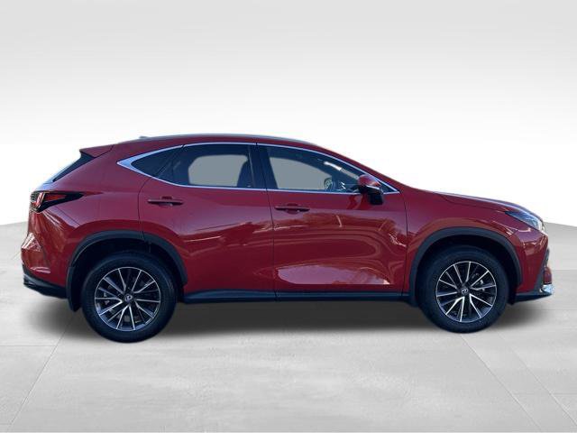 Used 2024 Lexus NX 350 AWD w/ Cold Area Package image 6
