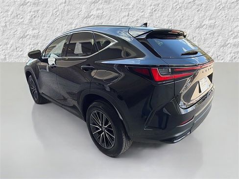 Used 2025 Lexus NX 250 FWD image 5