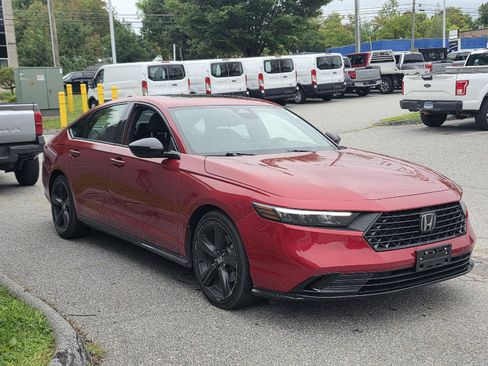 Used 2024 Honda Accord Sport image 1