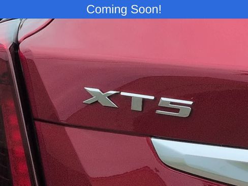 Used 2025 Cadillac XT5 Premium Luxury AWD/4WD image 12