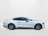 Used 2020 Ford Mustang Coupe image 4