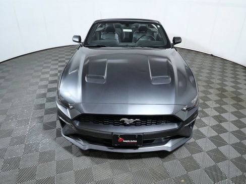 Used 2019 Ford Mustang Premium RWD image 3