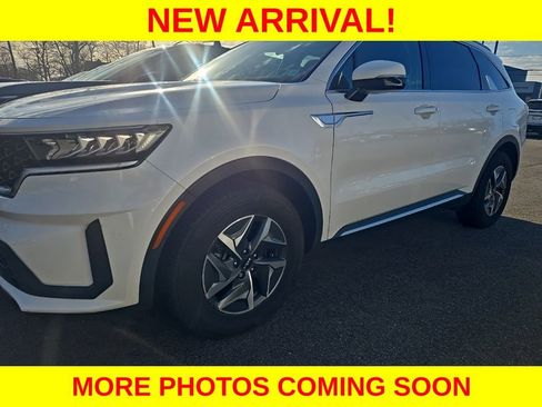 Used 2022 Kia Sorento S image 5