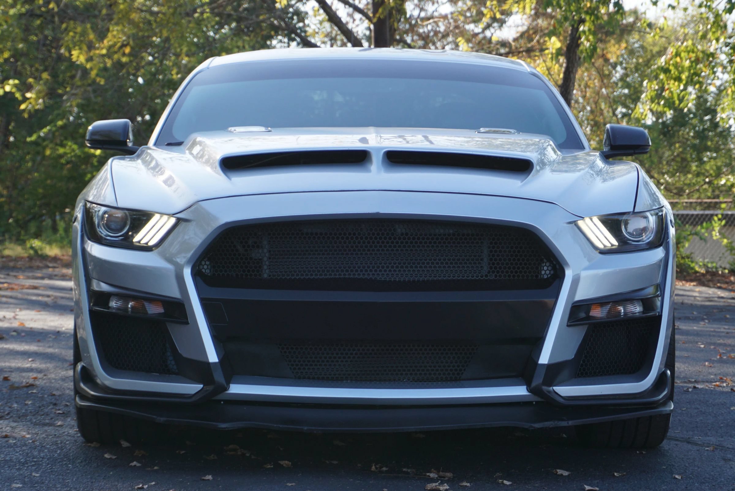 Used 2017 Ford Mustang GT Premium w/ Equipment Group 401A RWD image 2