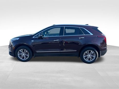 Used 2021 Cadillac XT5 Premium Luxury AWD/4WD image 2