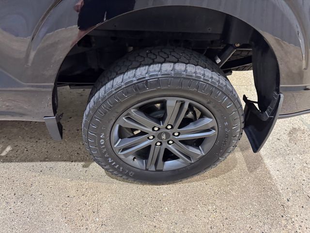 Used 2023 Ford F150 XLT w/ Equipment Group 302A High AWD/4WD image 31