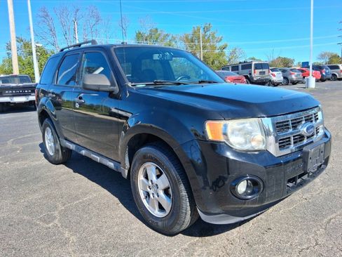Used 2010 Ford Escape XLT FWD image 3