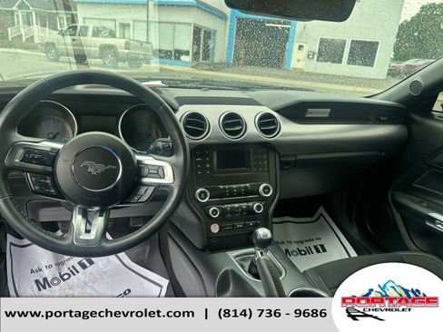 Used 2021 Ford Mustang GT image 14