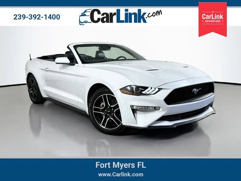 Used 2021 Ford Mustang Premium RWD image 1
