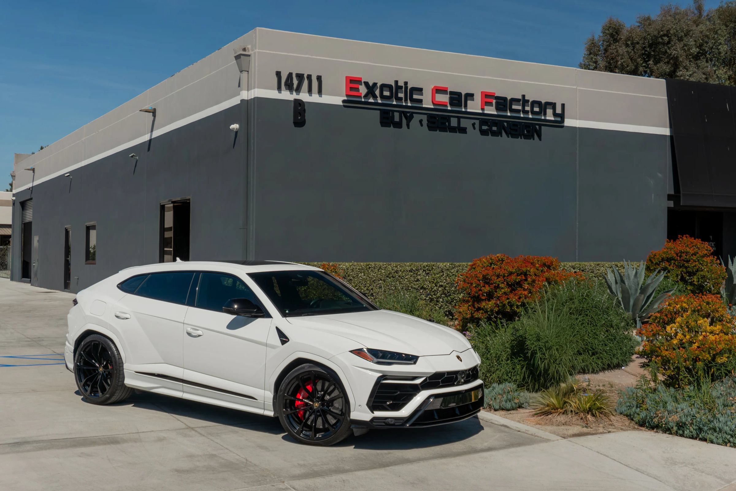 Used 2021 Lamborghini Urus AWD/4WD image 1