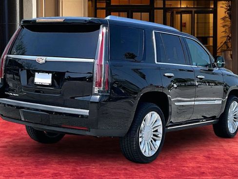 Used 2019 Cadillac Escalade Premium Luxury RWD image 6