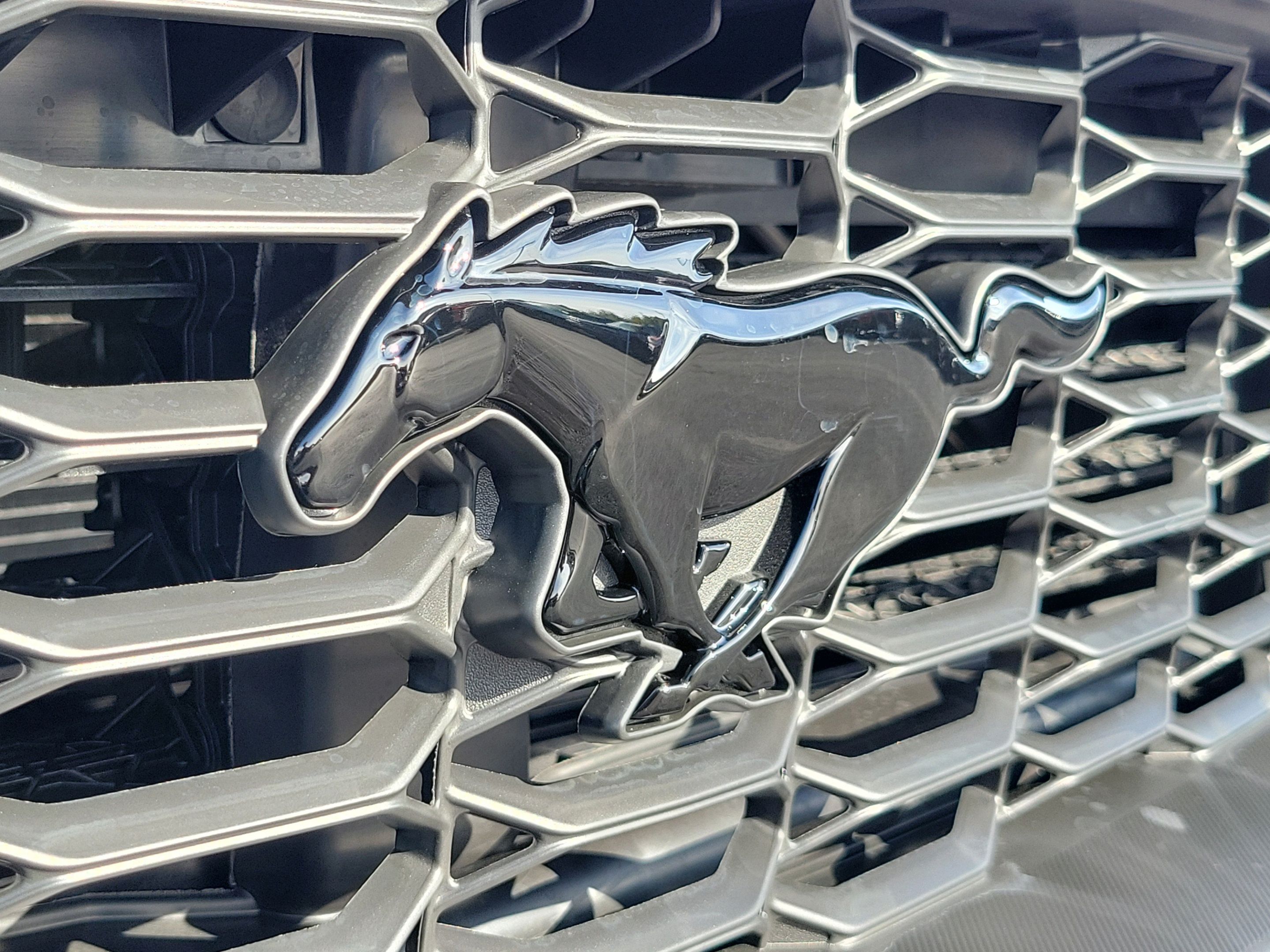 New 2026 Ford Mustang Coupe w/ Mustang Nite Pony Package RWD image 7