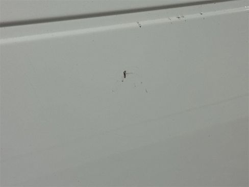 Used 2015 Ford F250 XLT w/ XLT Premium Package image 32