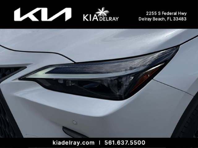 Used 2024 Lexus NX 350h AWD image 6