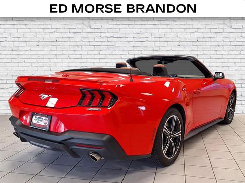 Used 2024 Ford Mustang Premium image 5