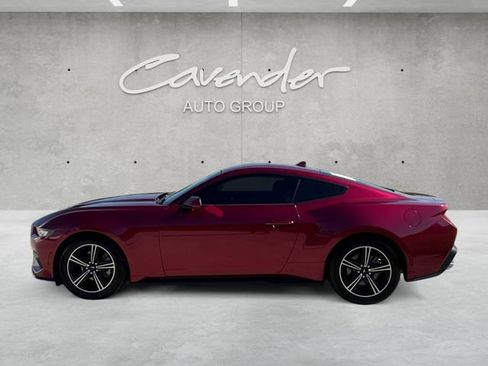 Used 2025 Ford Mustang Coupe RWD image 13