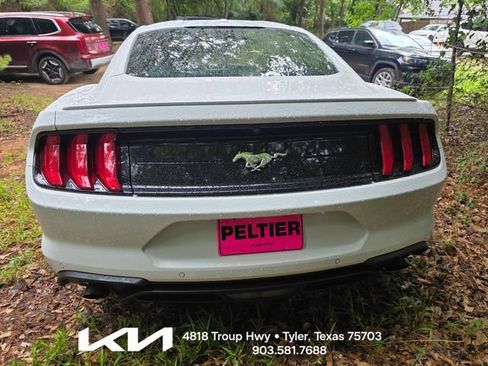 Used 2019 Ford Mustang Coupe w/ Equipment Group 101A RWD image 9